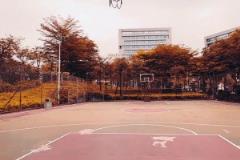 这个视频能给你的，只有感觉...